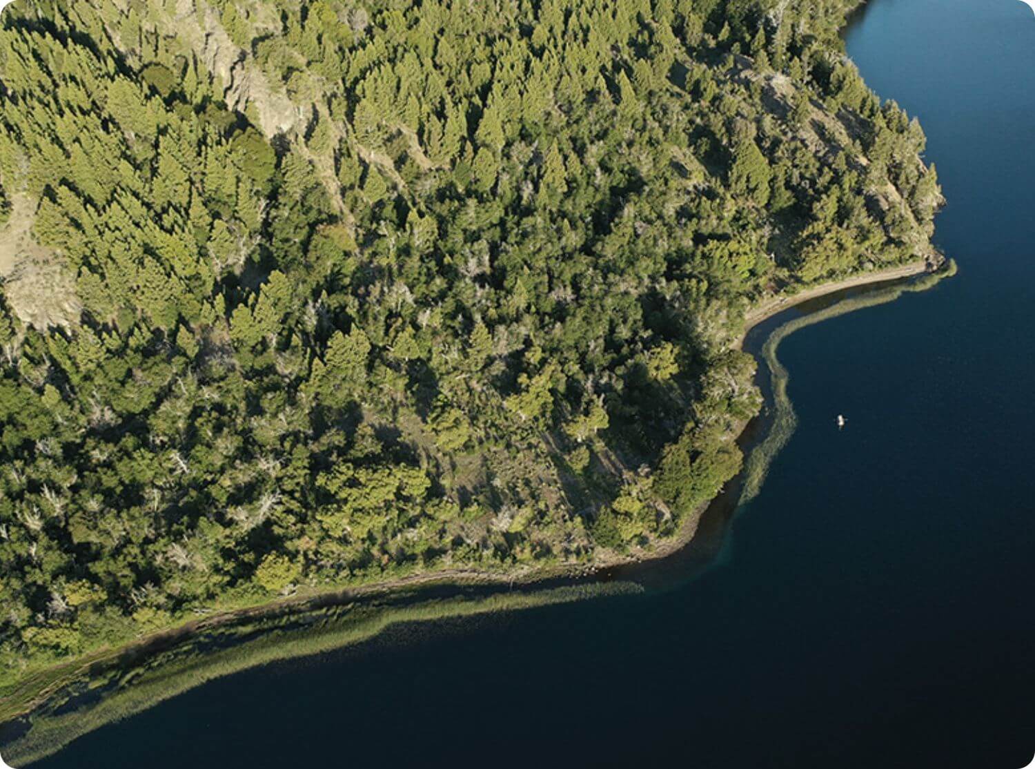 Patagonia
